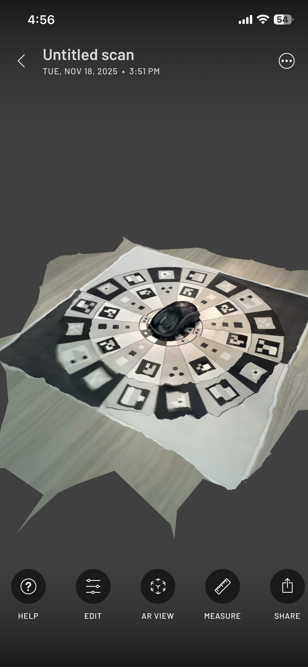 Computer mouse attempt